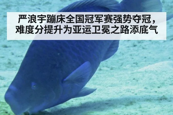严浪宇蹦床全国冠军赛强势夺冠，难度分提升为亚运卫冕之路添底气