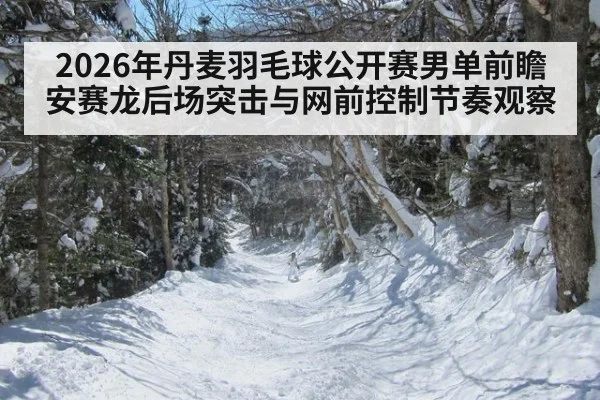 2026年丹麦羽毛球公开赛男单前瞻 安赛龙后场突击与网前控制节奏观察